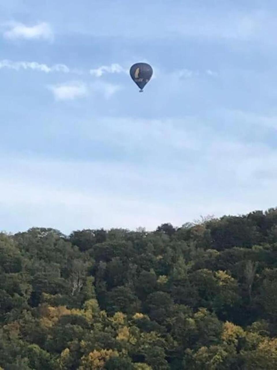 Le Sentier Des Lavandes Vresse-sur-Semois Dış mekan fotoğraf
