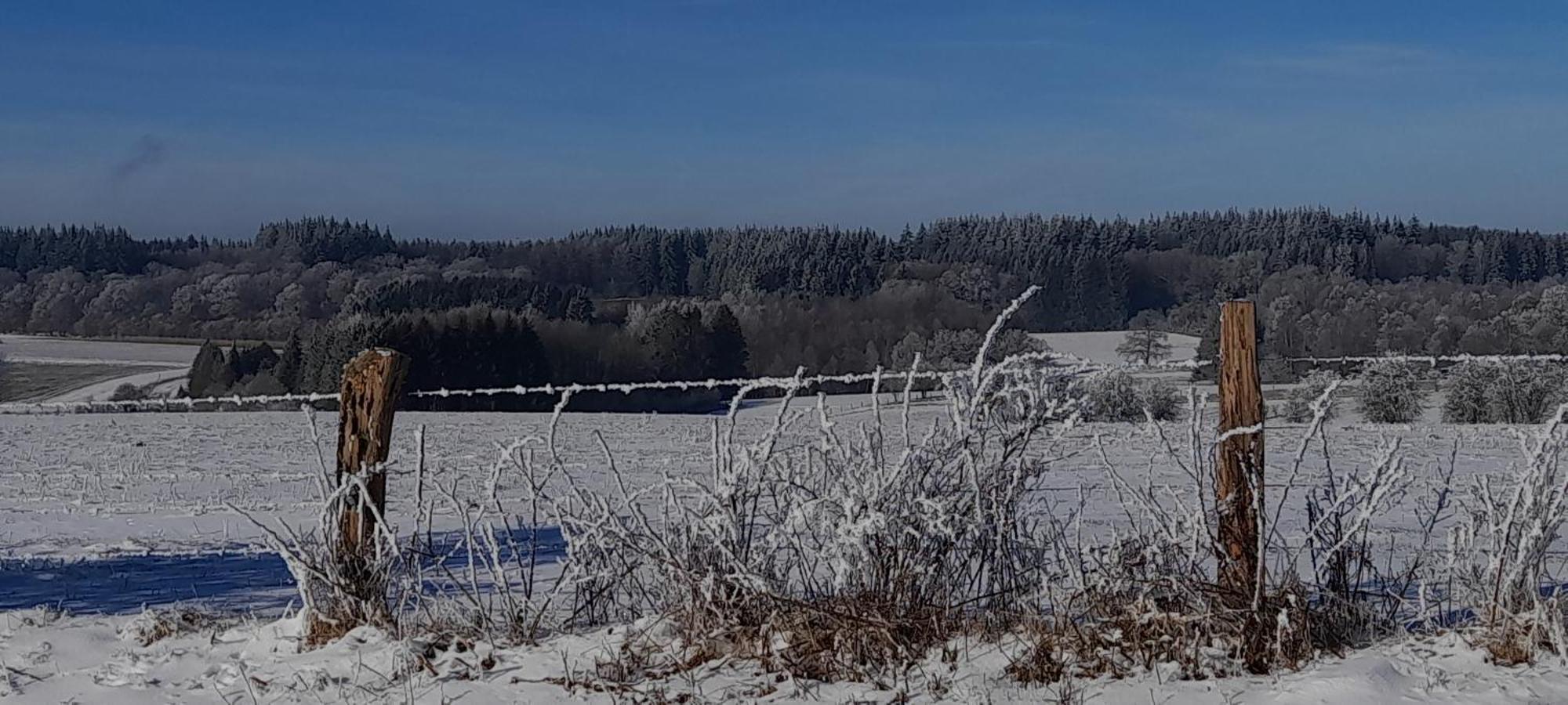 Le Sentier Des Lavandes Vresse-sur-Semois Dış mekan fotoğraf