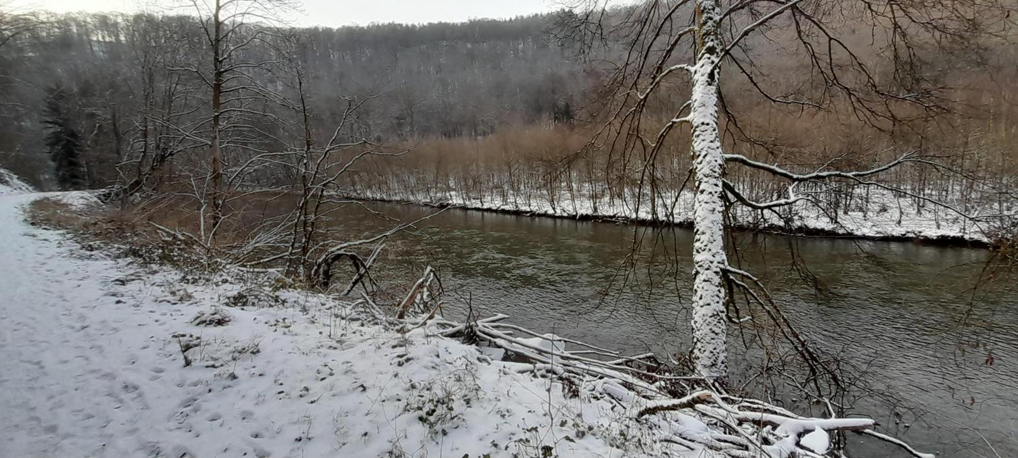 Le Sentier Des Lavandes Vresse-sur-Semois Dış mekan fotoğraf