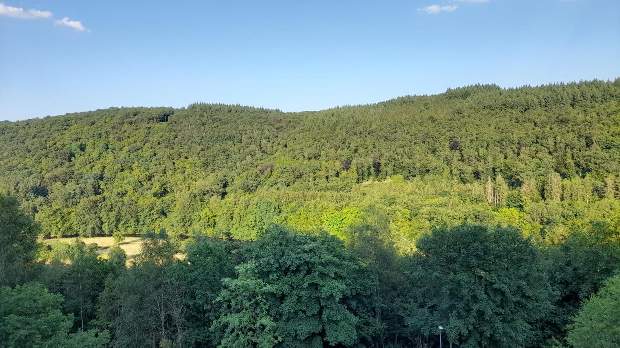 Le Sentier Des Lavandes Vresse-sur-Semois Dış mekan fotoğraf
