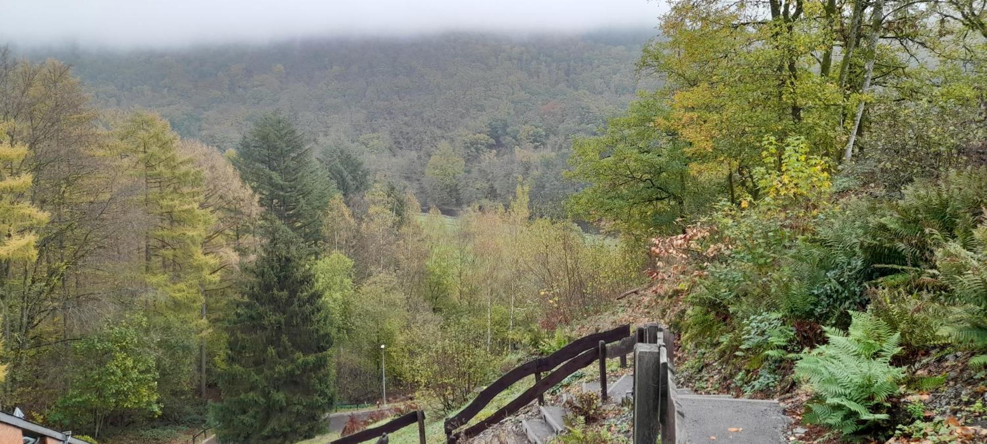 Le Sentier Des Lavandes Vresse-sur-Semois Dış mekan fotoğraf